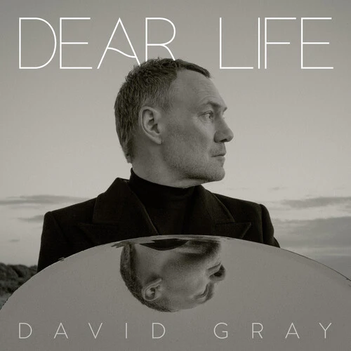 David Gray - Dear Life [LP - Seawood Green]