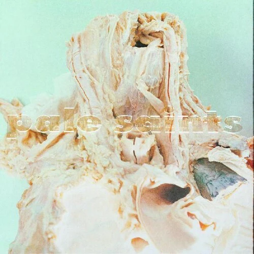 Pale Saints - In Ribbons [LP]