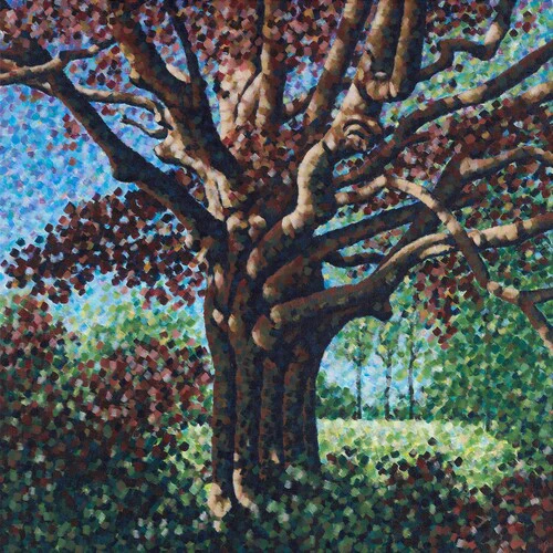 One Step Closer - Songs For The Willow [LP - Cloudy Clear]