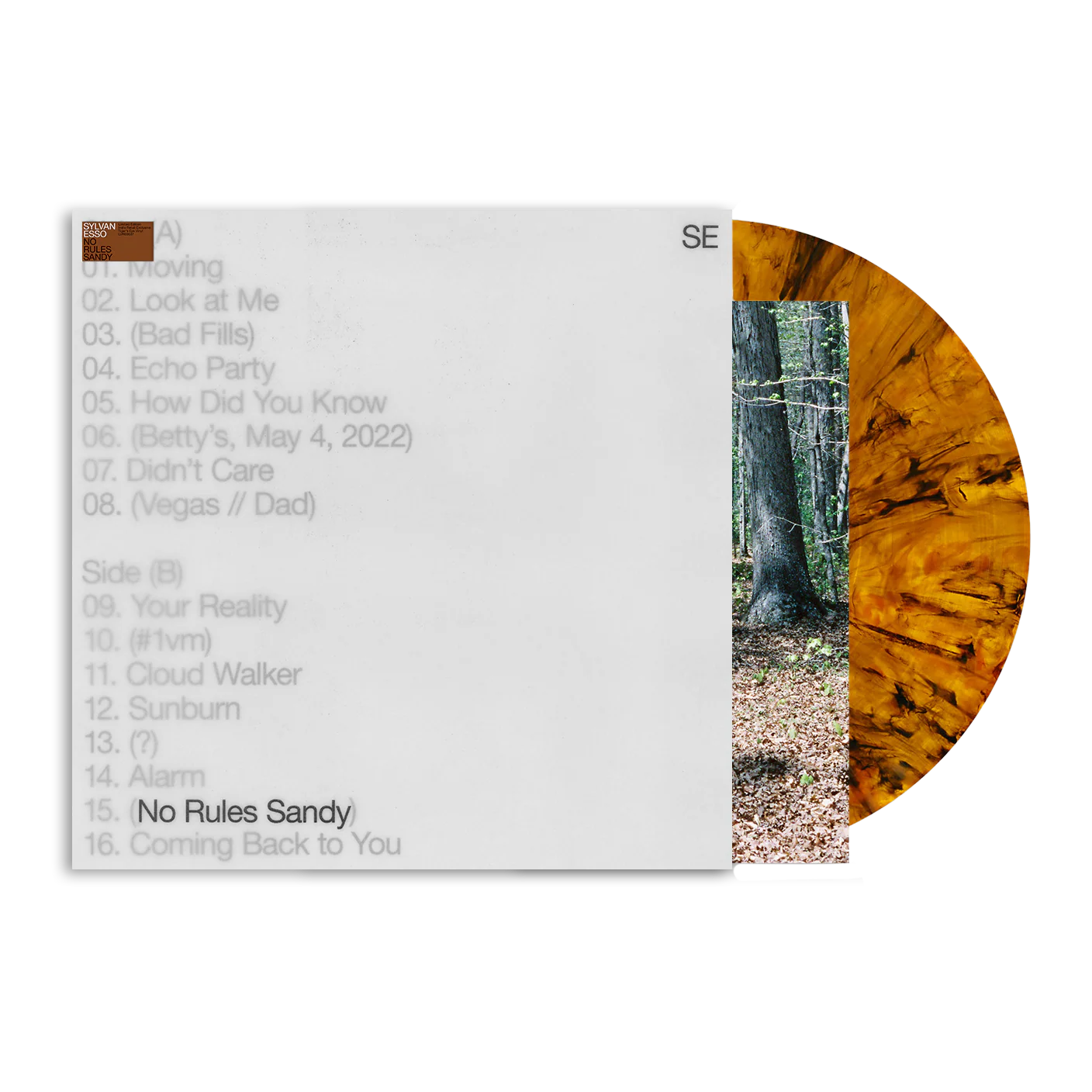 Sylvan Esso - No Rules Sandy [LP - Tiger's Eye]